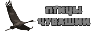 Логотип